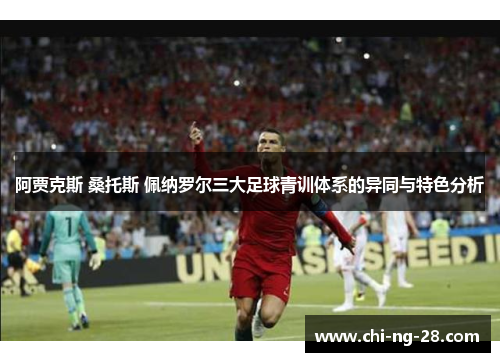 阿贾克斯 桑托斯 佩纳罗尔三大足球青训体系的异同与特色分析