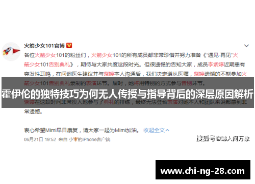 霍伊伦的独特技巧为何无人传授与指导背后的深层原因解析