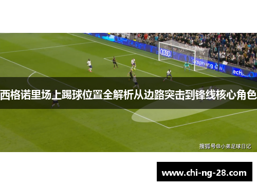西格诺里场上踢球位置全解析从边路突击到锋线核心角色
