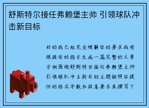 舒斯特尔接任弗赖堡主帅 引领球队冲击新目标